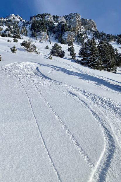 Chamechaude => 20/30 cm de poudreuse de rêve sur fond glissant...