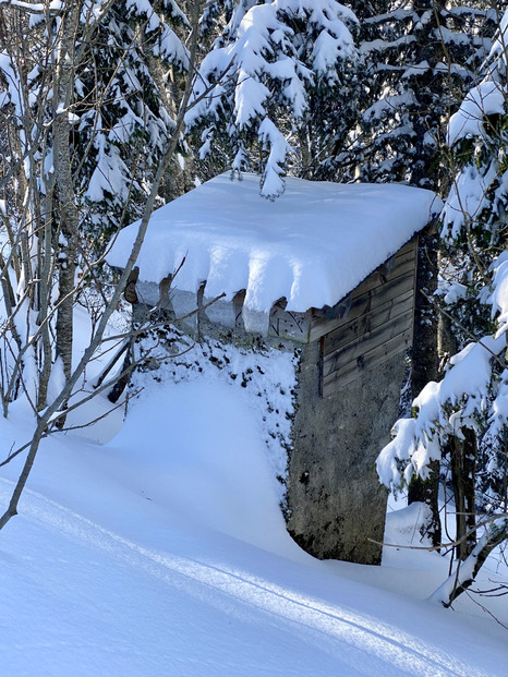 Chamechaude => 20/30 cm de poudreuse de rêve sur fond glissant...