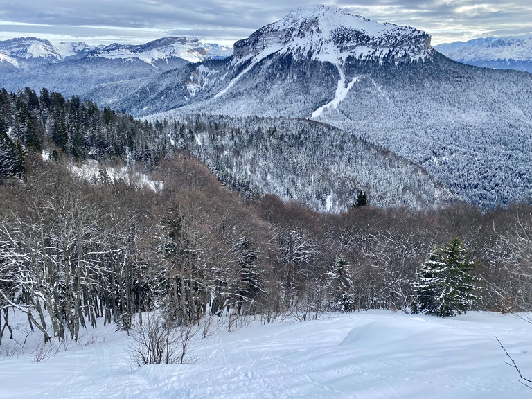 D’la fraîche, du soleil et du fœhn sur la Pinéa.