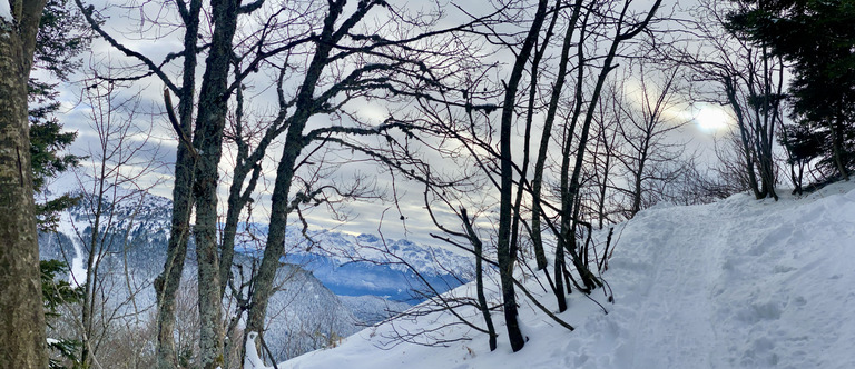 D’la fraîche, du soleil et du fœhn sur la Pinéa.