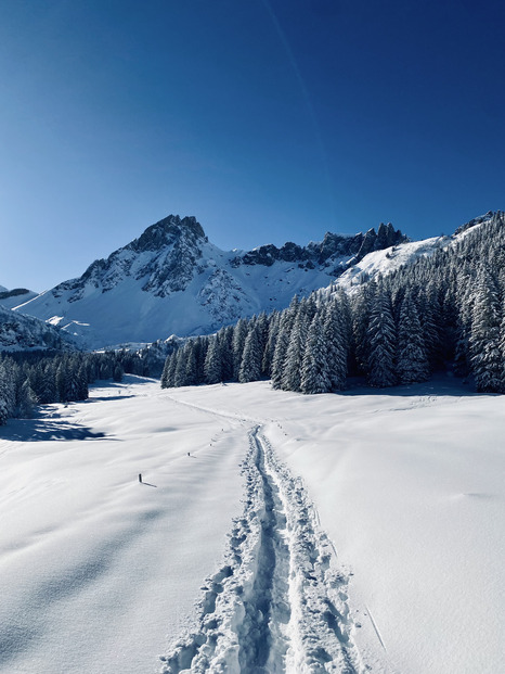 Refuge poudreux, refuge heureux 