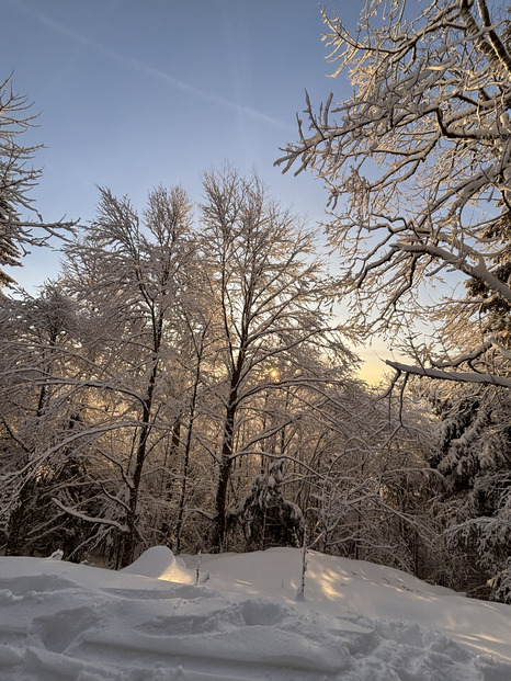 Silence au Hohneck