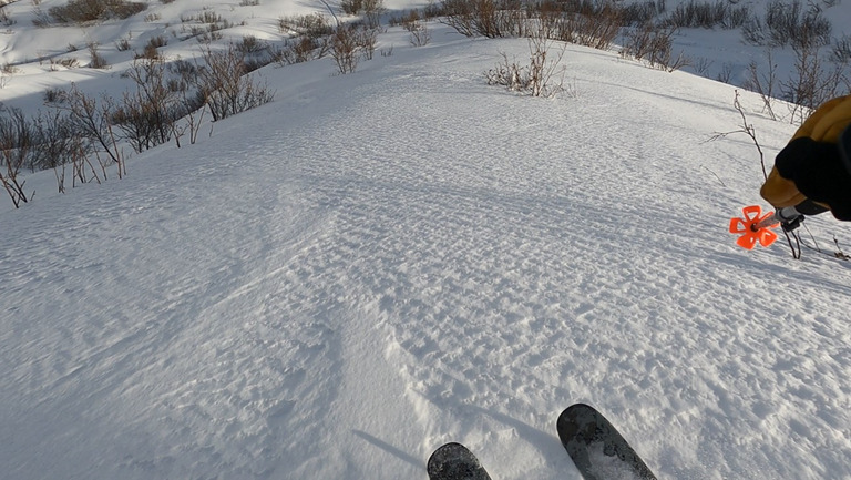 Chasse aux dernières traces à Valmorel