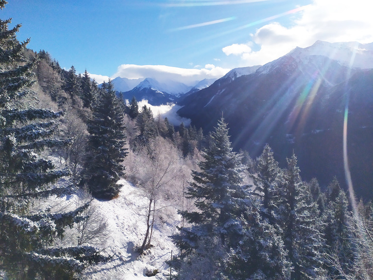 seul jour de la semaine avec neige sous 2000m?