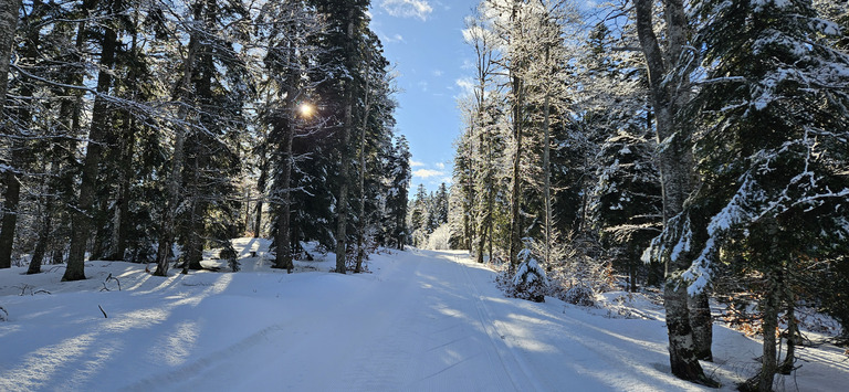 Skate au Col de Carri.