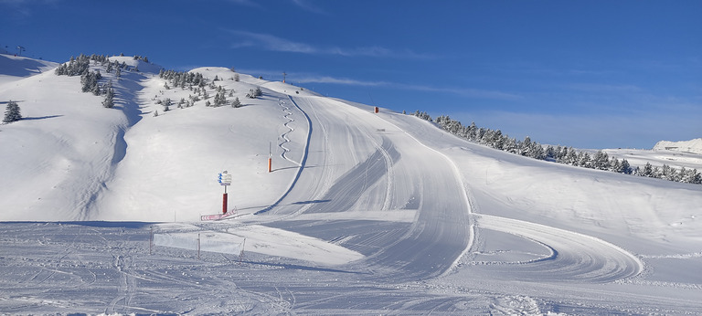 Neige fraîche et soleil