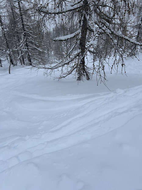 Après les tempetes