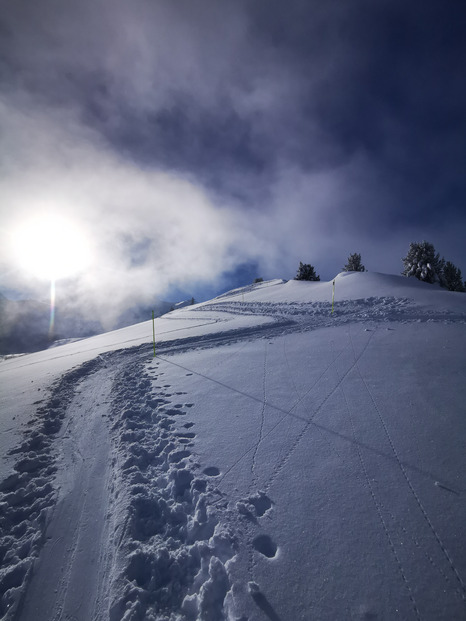 Arêche, de la poudre aux Yeux ✨