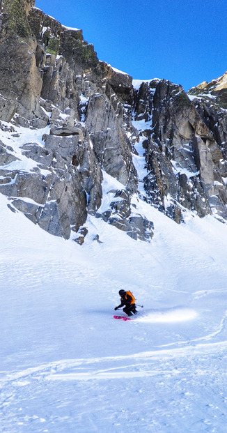 Belle neige à l'aiguille 