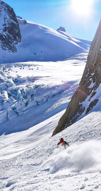 Belle neige à l'aiguille 