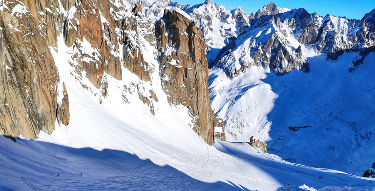 Belle neige à l'aiguille 