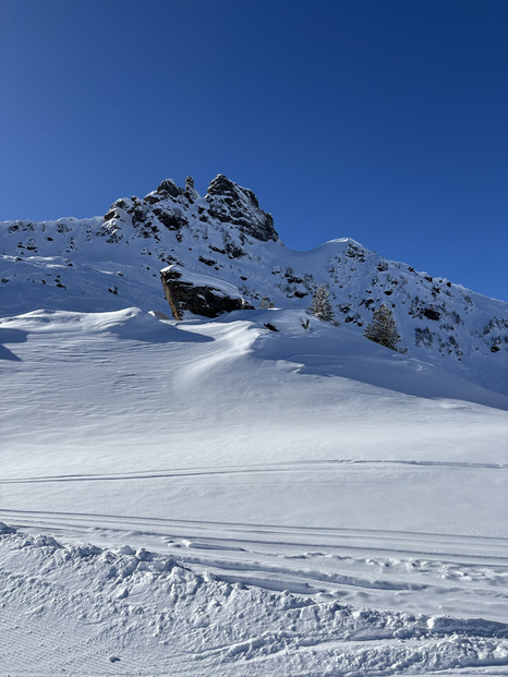 une belle surprise ⛷️