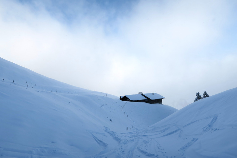 Du froid, de la neige... Du ski de Janvier!