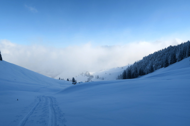 Du froid, de la neige... Du ski de Janvier!