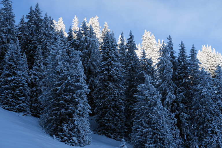 Du froid, de la neige... Du ski de Janvier!