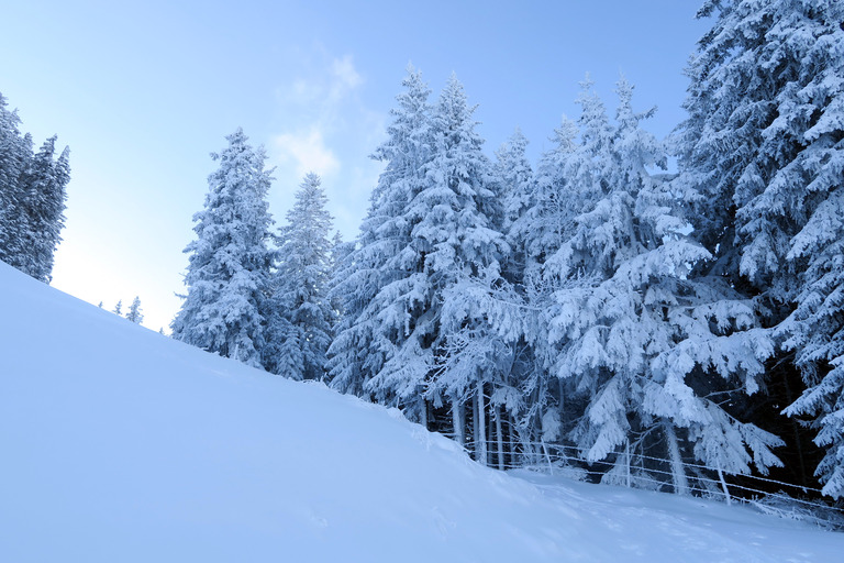 Du froid, de la neige... Du ski de Janvier!