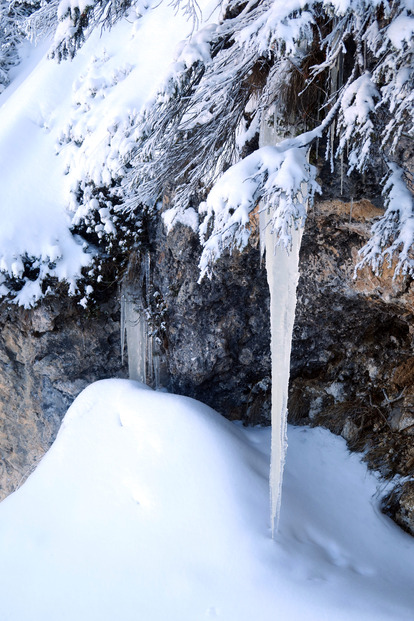 Du froid, de la neige... Du ski de Janvier!