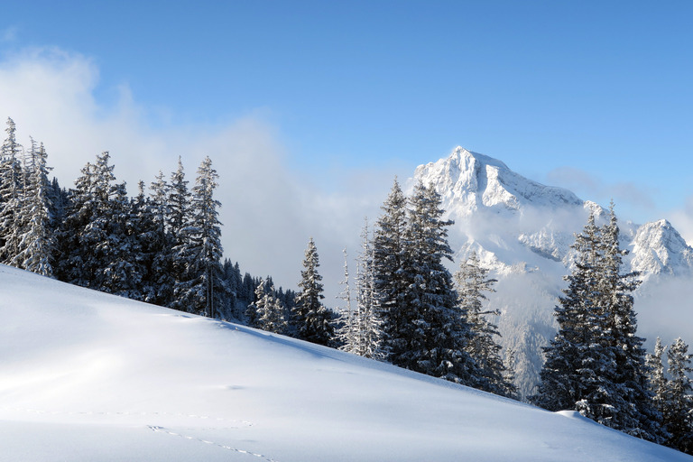 Du froid, de la neige... Du ski de Janvier!