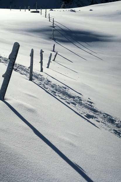 Du froid, de la neige... Du ski de Janvier!