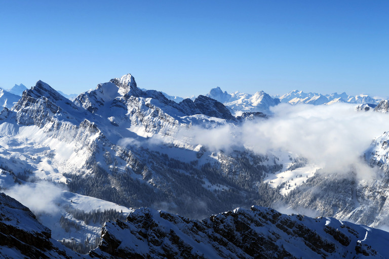 Du froid, de la neige... Du ski de Janvier!