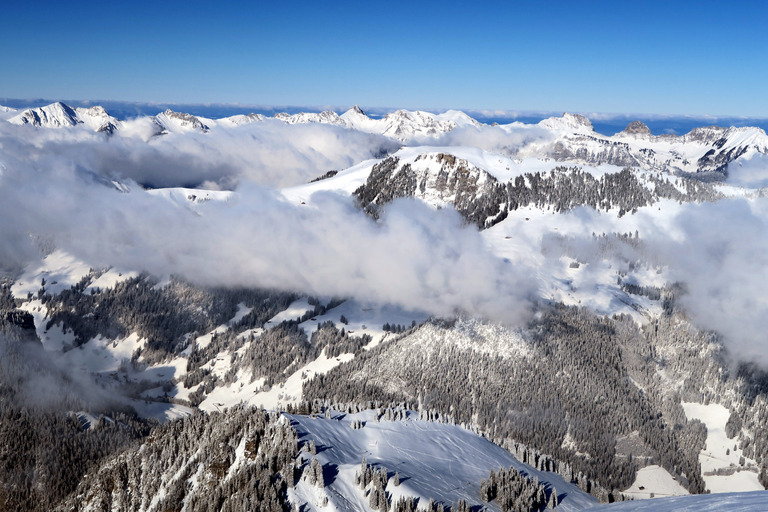 Du froid, de la neige... Du ski de Janvier!