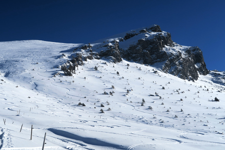 Du froid, de la neige... Du ski de Janvier!