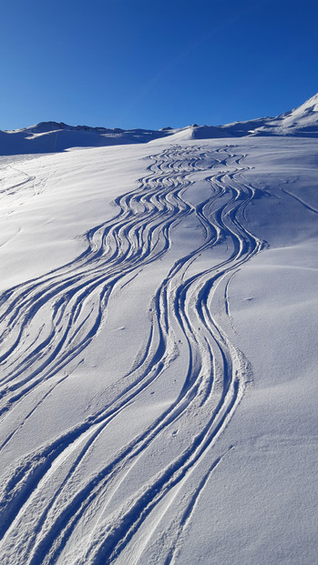 Très bonnes conditions !