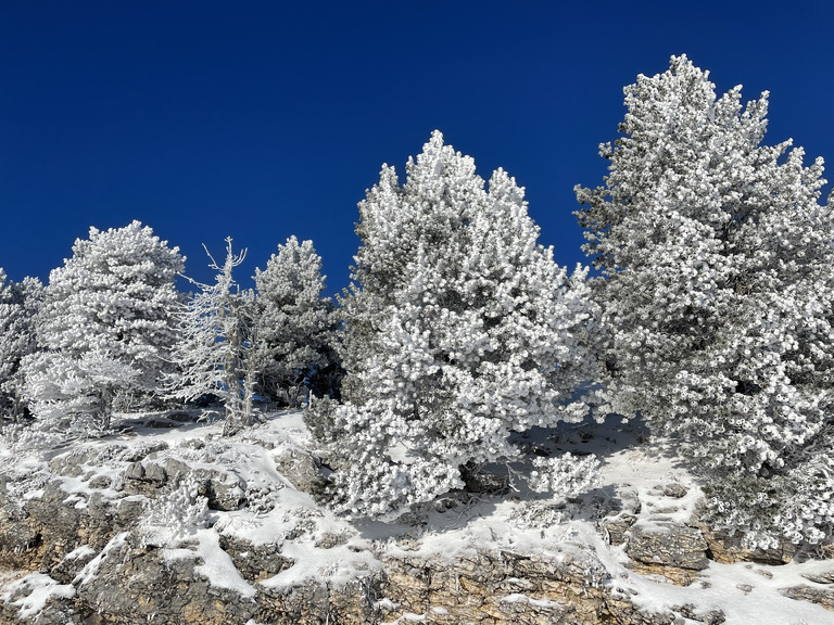 Ambiance Reine des Neiges !