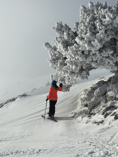 Ambiance Reine des Neiges !