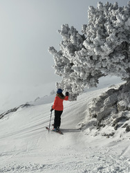 Ambiance Reine des Neiges !