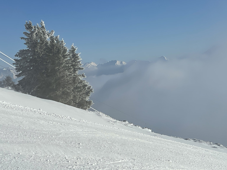 Ambiance Reine des Neiges !