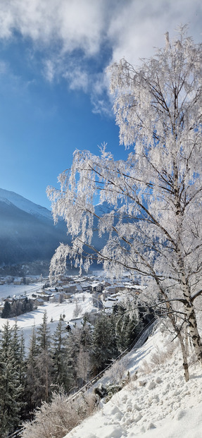 Décor féerique, neige incertaine