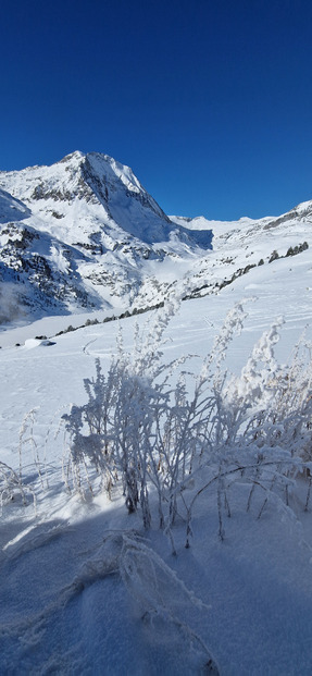 Décor féerique, neige incertaine