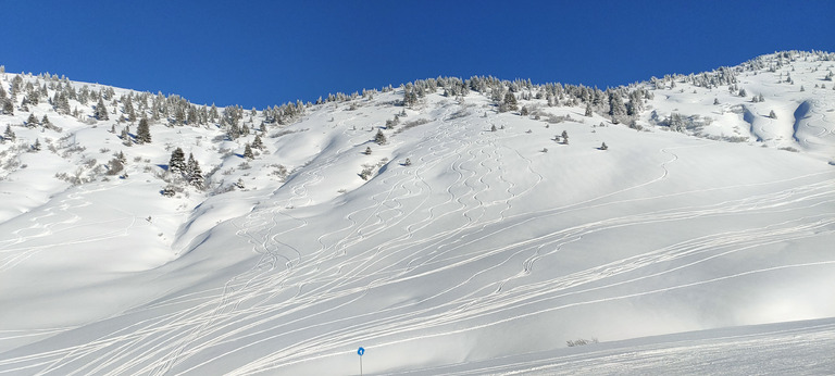 Glacial, dur mais bon sur piste, très mitigé en dehors