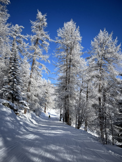 Journée de rêve sauf pour la neige..