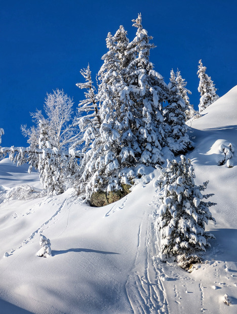 Arêches : y a du soleil et des skieurs