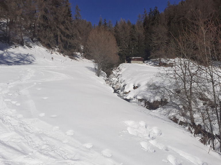 Un jour de janvier sans chichi