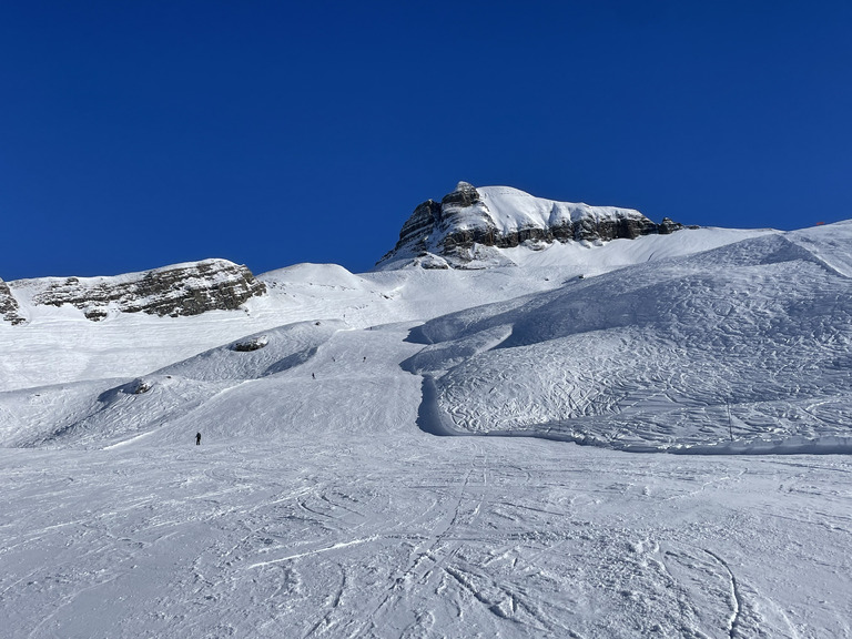 Ski Force Pro 2025, le lundi au soleil ☀️ 