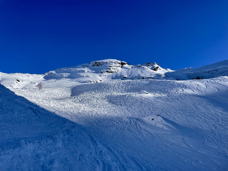 Ski Force Pro 2025, le lundi au soleil ☀️ 