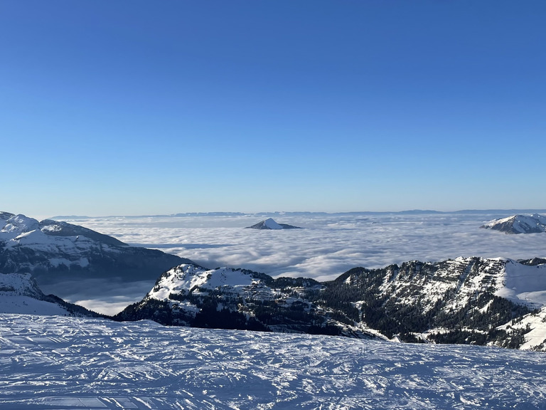 Ski Force Pro 2025, le lundi au soleil ☀️ 