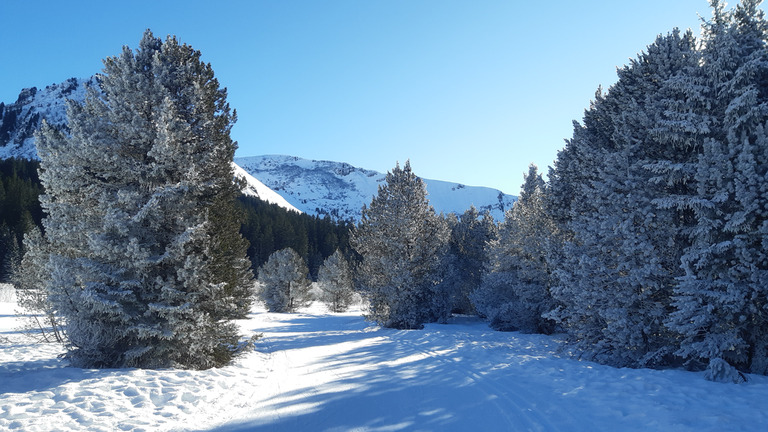 Domaine nordique en très bonne condition 