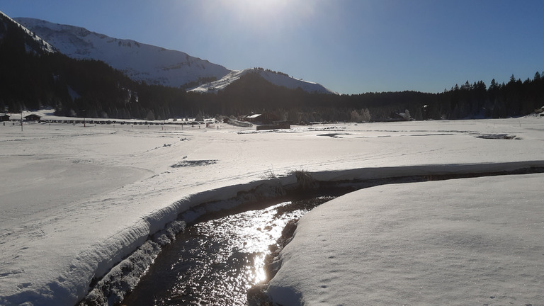 Domaine nordique en très bonne condition 