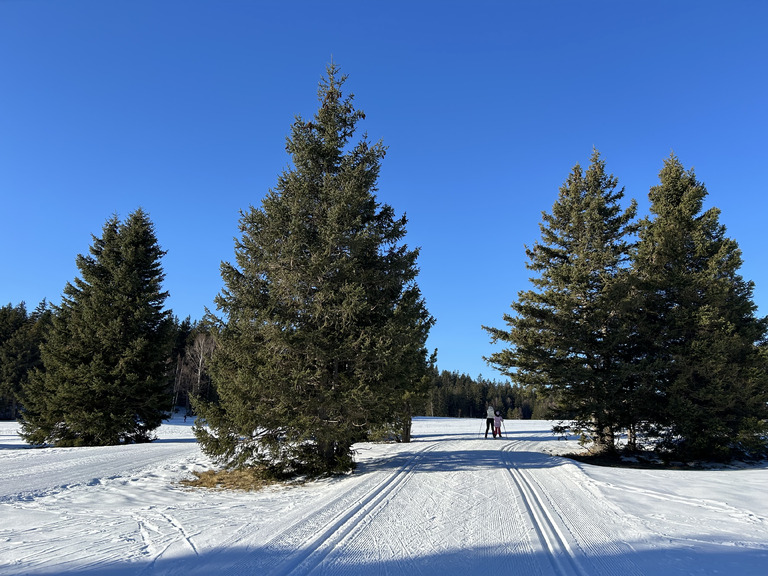 Skating plaisir