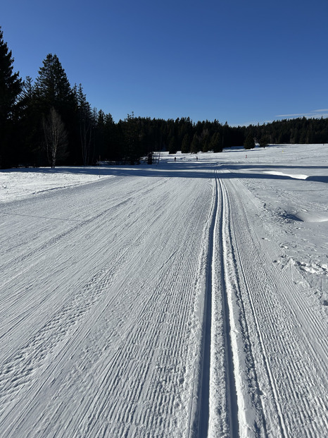 Skating plaisir