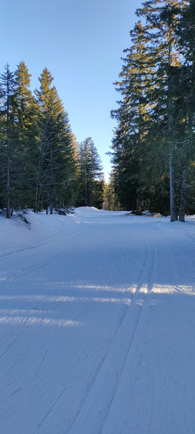 De bonnes conditions en skating à l'Arselle