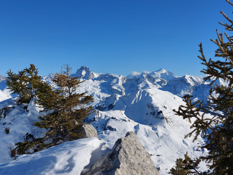 Roc de Charmieux : montée chez Ikéa, descente excellente