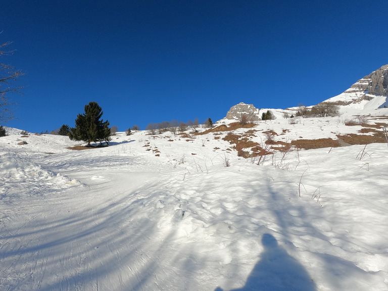 Roc des Tours : montée chez Ikéa, descente excellente