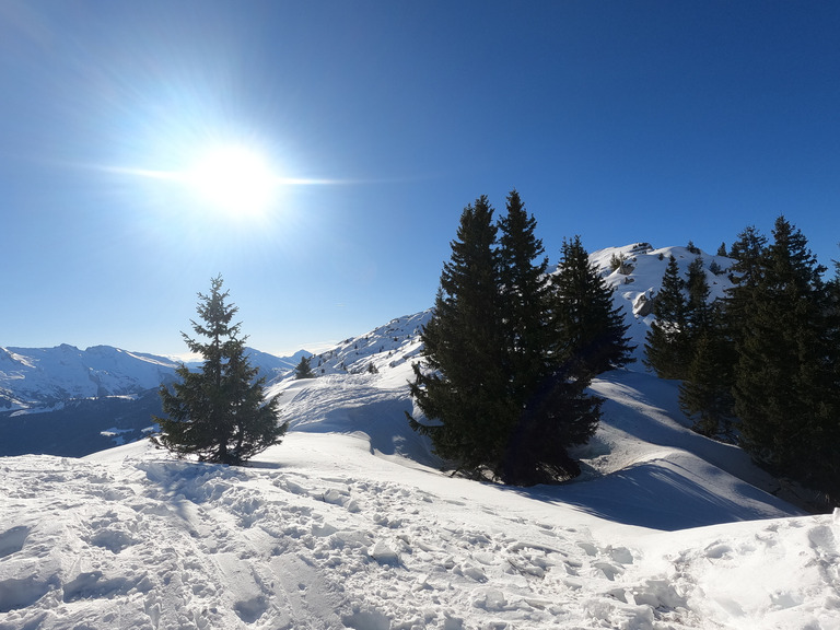 Roc de Charmieux : montée chez Ikéa, descente excellente