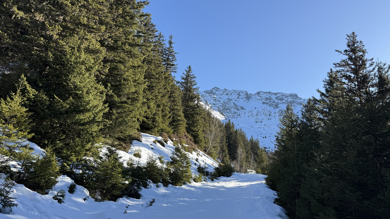 Ski au soleil - en rando et sur les pistes