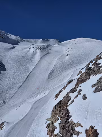 Carres affûtées, bonheur assuré, même sans muguet 